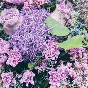 Meet your Posher, Birdie!